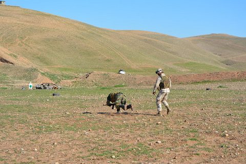 20160208_KTCC_Erbil_peshmerga (13)